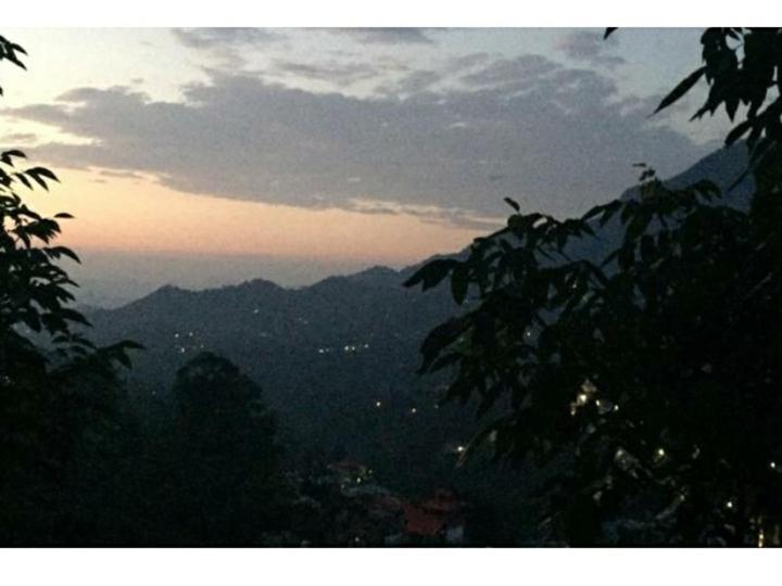 Cottage 5 Solan Esterno foto